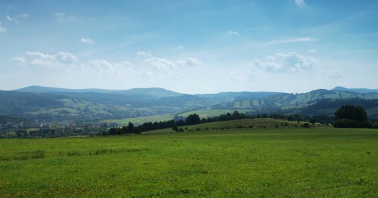 Testy Kołtuna